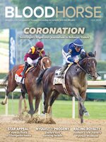 BloodHorse